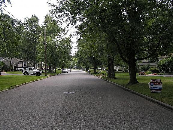 Quiet, tree-lined street