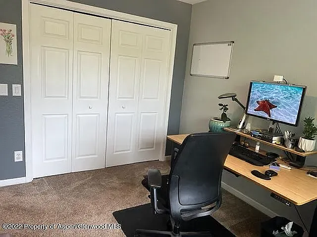 910 Mount Sopris Dr — Photo 12