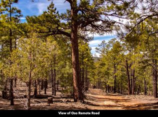 Oso Remote Rd, Grants, NM 87020