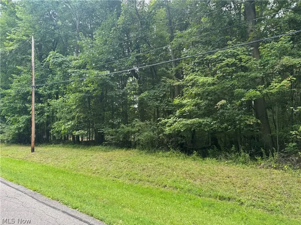 1995 Flame Lake Dr, Rock Creek, OH 44084