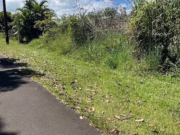 4th image of Kawakawa St Lot 630