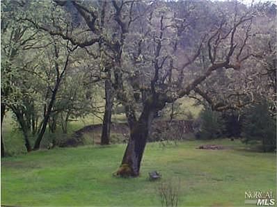 4th image of 16221 Black Bart Dr