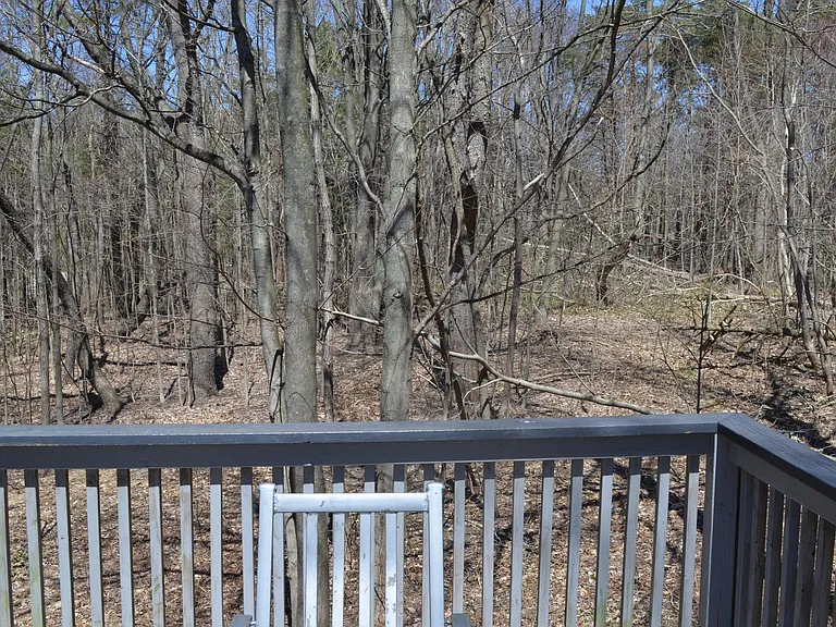 3342 N Lakeshore Dr — Photo 16