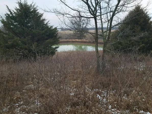 12590 E 800 Road, Stockton, MO 65785