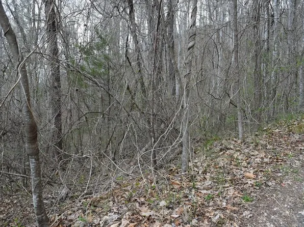 Bel Air Rd, Cullowhee, NC 28723