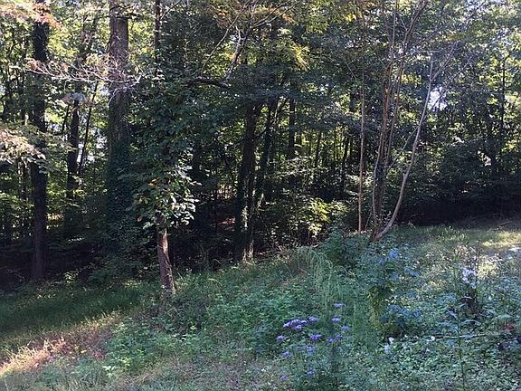 4th image of 101 Sherwood Ln SE