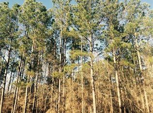 2990 Woodhaven Rd, Coolidge, GA 31738