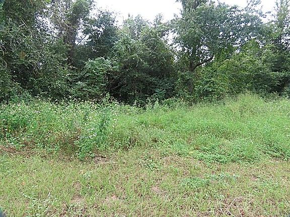 4th image of 17701 SEIDNER ROAD LOT 1E