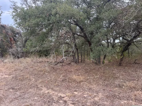 133 WHITE HORSE LN LOT 9D, Stockdale, TX 78160