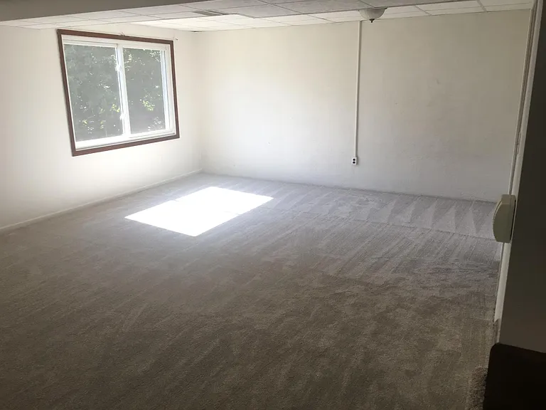Spacious Lower Level Family Room doubles as extra guest bedroom.