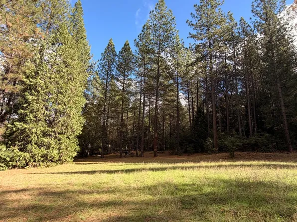 4701 Vogelsang Ln, Placerville, CA 95667