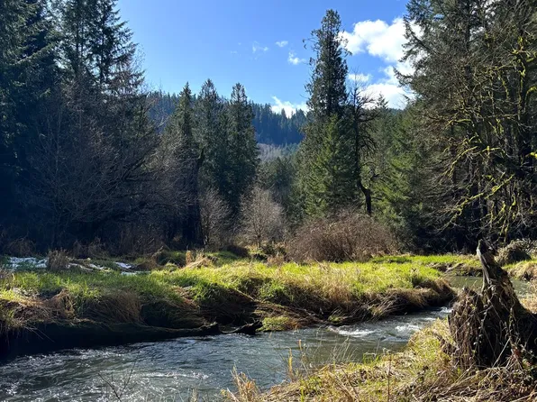 S Fork Rd, Alsea, OR 97324