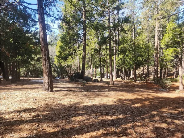 52547 Pine Cove Rd, Idyllwild, CA 92549