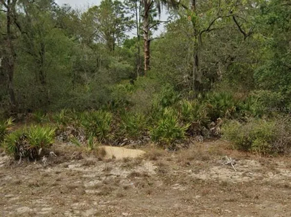 11755 W BELVEDERE STREET LOT 11, CRYSTAL RIVER, FL 34428