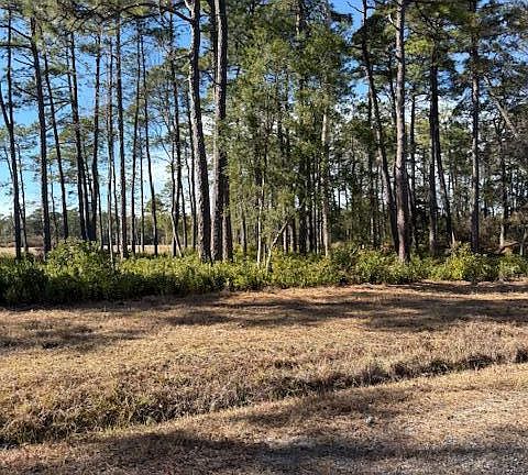 5th image of 3671 Cactus Road