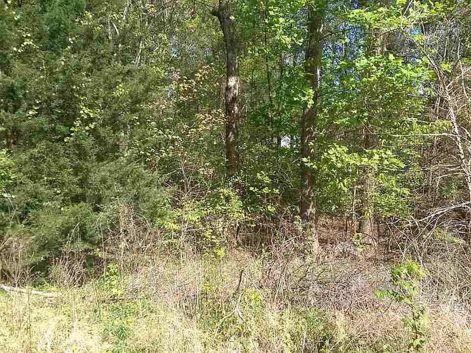 2nd image of 6012 Olson Dr