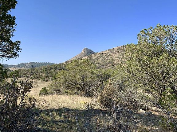 2nd image of 525 Little Horn Dr