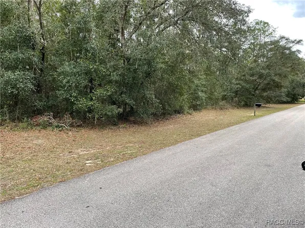 1124 W Redding St, Hernando, FL 34442