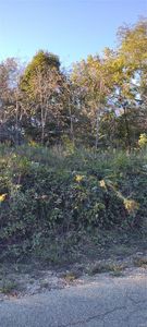 0 Englehart Ln, Marble Hill, MO, 63764