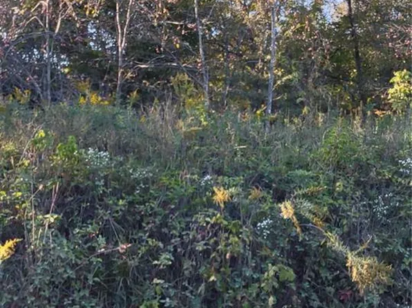 0 Englehart Ln, Marble Hill, MO 63764