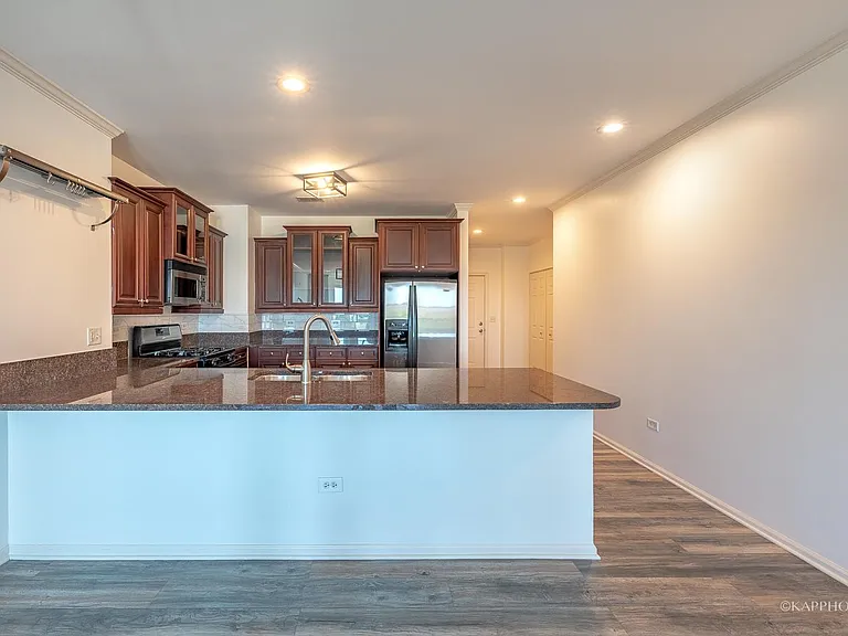 520 N Halsted St #516 — Photo 9