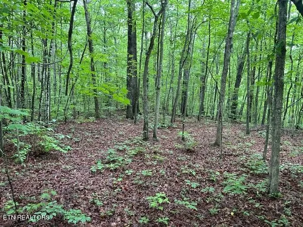 0 Maple Ln Lot 34, Crossville, TN 38572