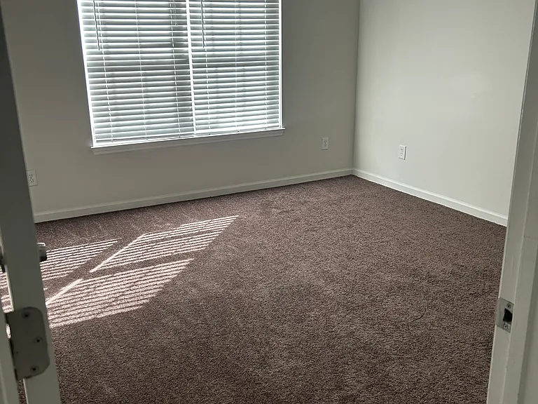 305 Rose Marie Ln — Photo 20