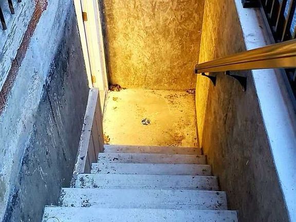 3rd image of 19 Hall Cres #Basement