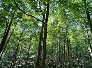 9999 Trace Branch Rd, Livingston, KY 40445