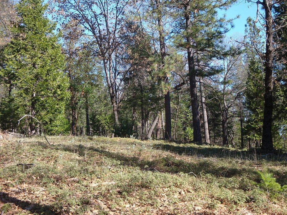 1st image of Foresthill