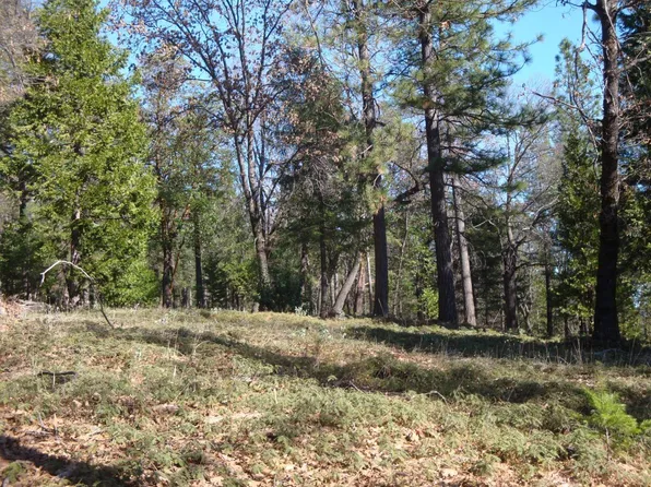 Foresthill, Foresthill, CA 95631