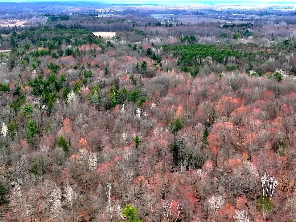 1st image of Rynn Rd
