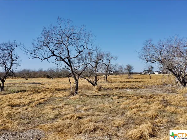 W Fannin St Tract C, Goliad, TX 77963