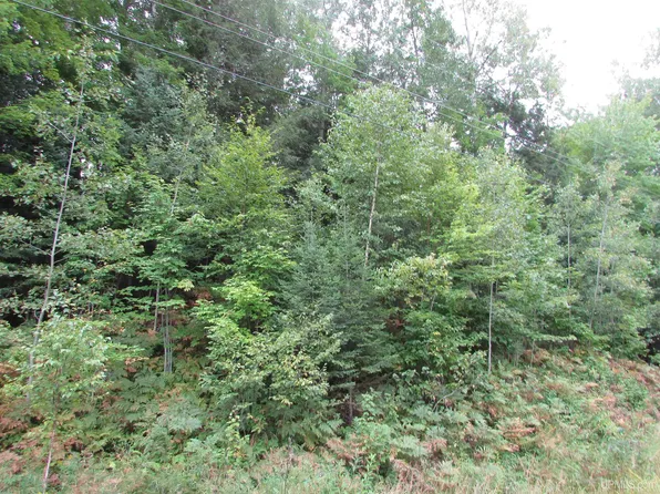 Tbd Skanee Rd, L'anse, MI 49946