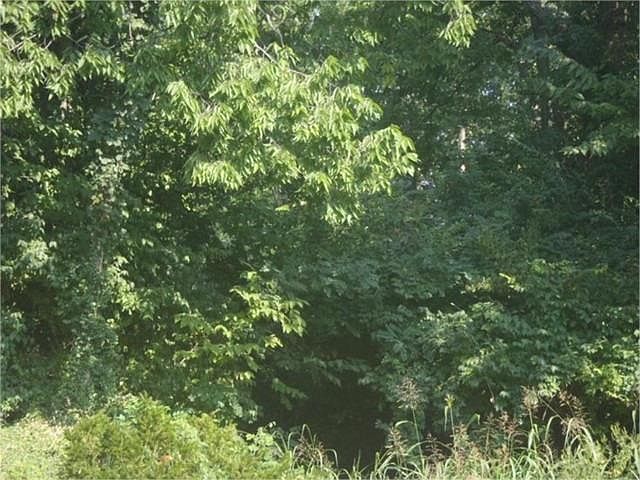 1st image of 23 Tanglewood Dr