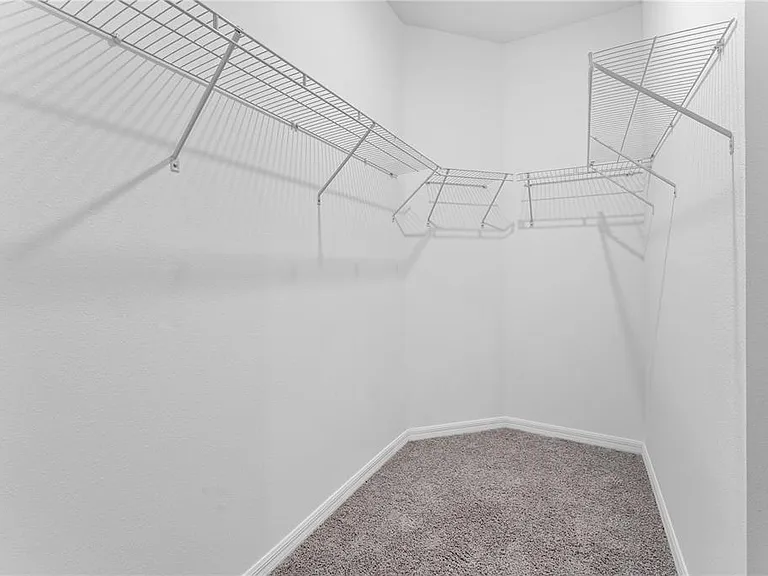 31351 Paper Birch St — Photo 19