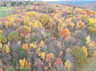 State Highway 167, Brackney, PA 18812