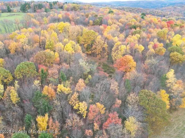 State Highway 167, Brackney, PA 18812