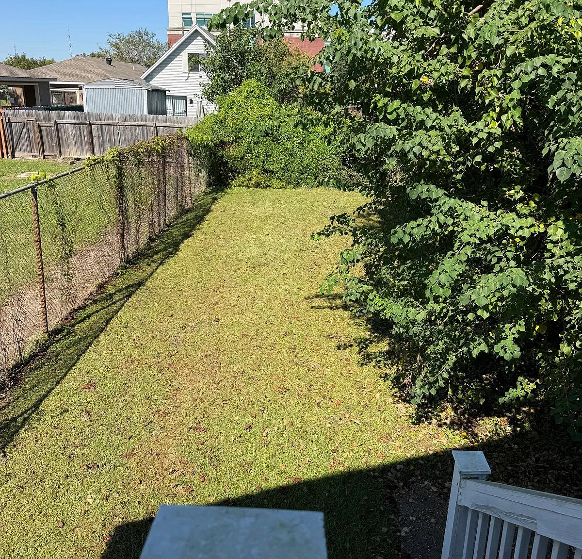 2 bed, 1000 sqft, $1,250 — Photo 3