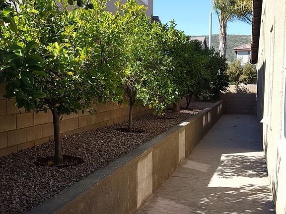 4th image of 31829 Silk Vine Dr