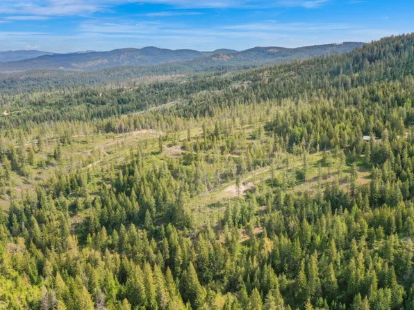 3 N South Jackson Rd, Elk, WA 99009