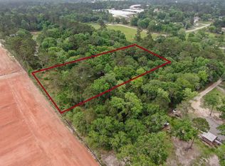 6866 Pennsylvania Ave, Montgomery, TX 77316