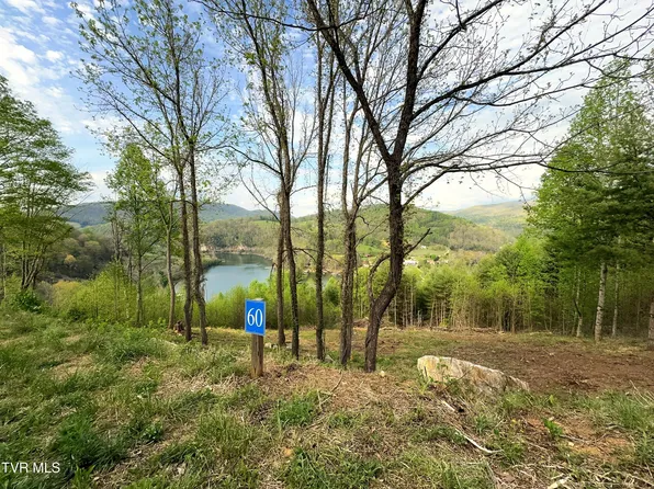 60 Cowan Town Rd, Butler, TN 37640