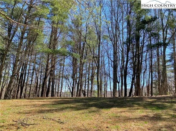Tract 30 Valle Cay Drive, Vilas, NC 28692