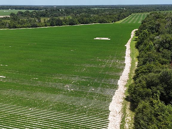 2nd image of 0 Long Pond Rd