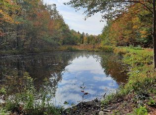 572 Dunbar Hill Rd, Grantham, NH 03753