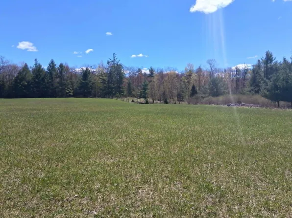 Crowell Rd, Curran, MI 48728