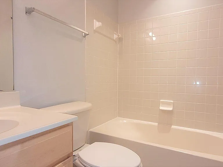 5344 Blue Aster Cir — Photo 19