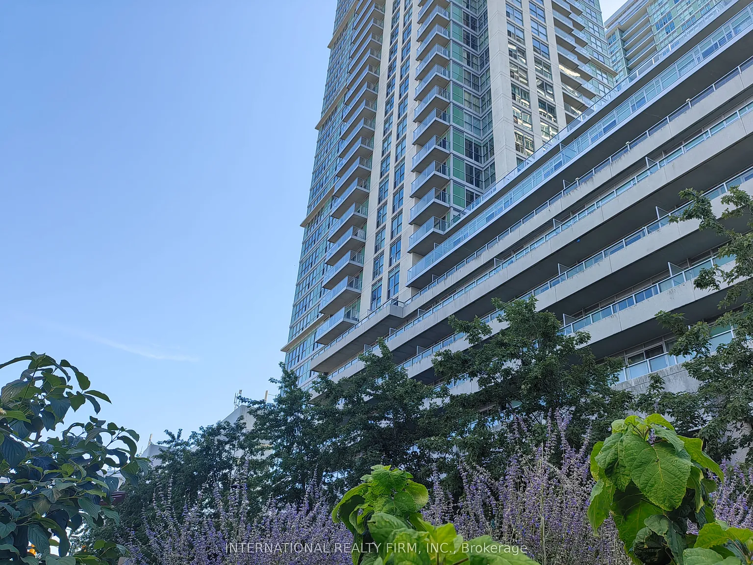 2 bed, $2,900 — Photo 3