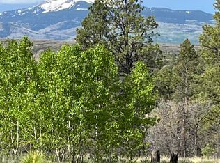 LOT 21 Peninsula Dr, Placerville, CO 81430